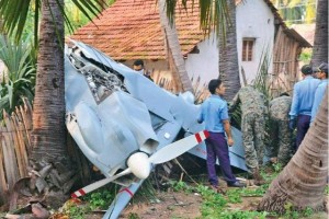 heron coconut crashes