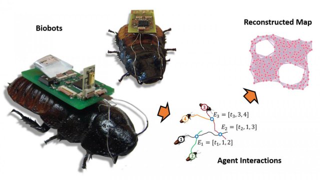 Biobots